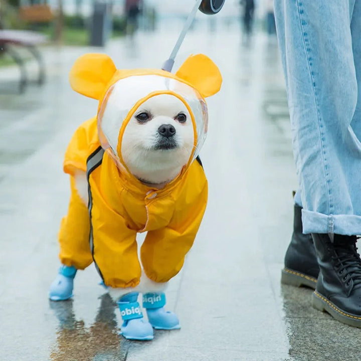 Skanto | Sjarmerende Bamse-tema Helkropp Hunderegntrekk med Reflekterende Sikkerhetsfunksjoner