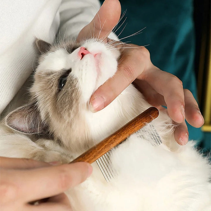 Premium Katt Kam: Rustfritt Stål Stell for en Sunn Pels Skanto