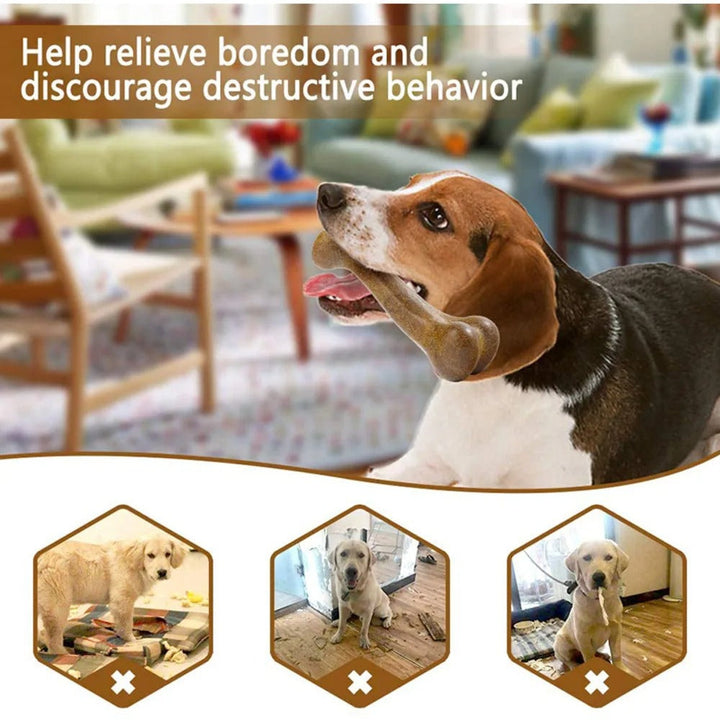 ChewBone – Det trygge og holdbare tyggeleken for glade hunder! Skanto