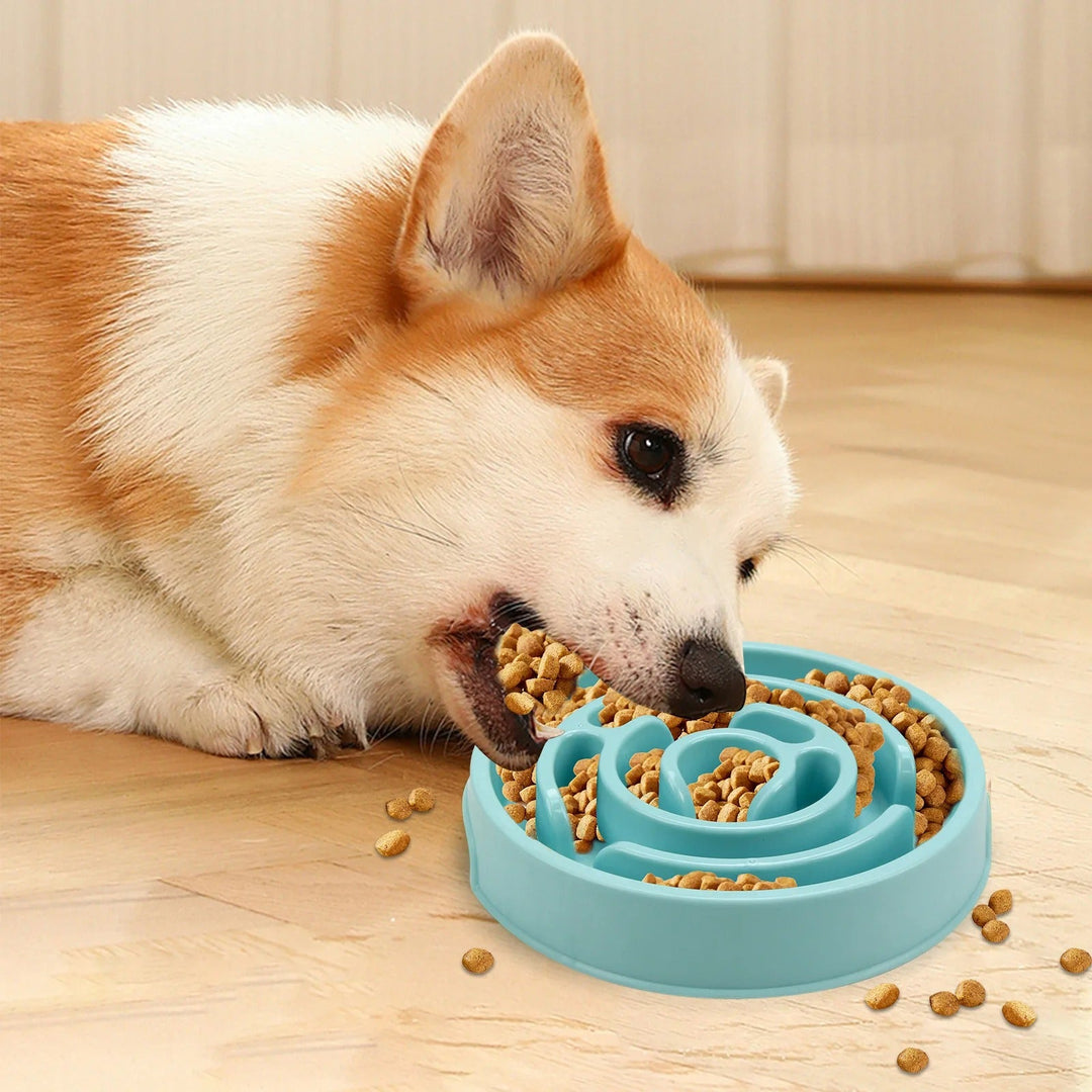 Slow Feed Pet Bowl Skanto