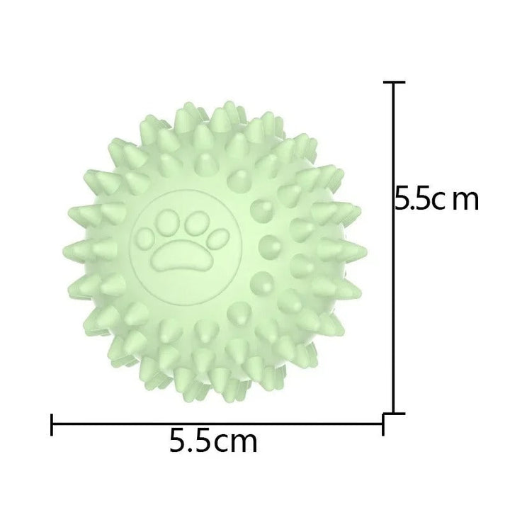 Bouncing Rubber Training Ball Skanto