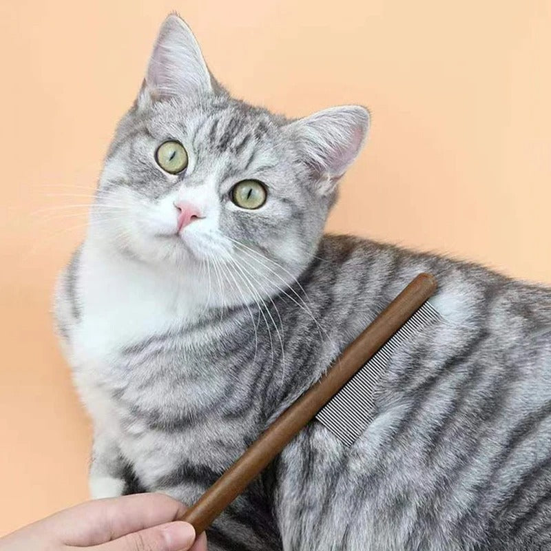Premium Katt Kam: Rustfritt Stål Stell for en Sunn Pels Skanto