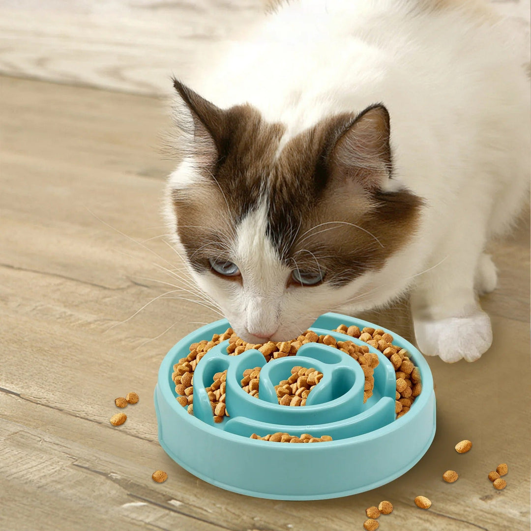 Slow Feed Pet Bowl Skanto