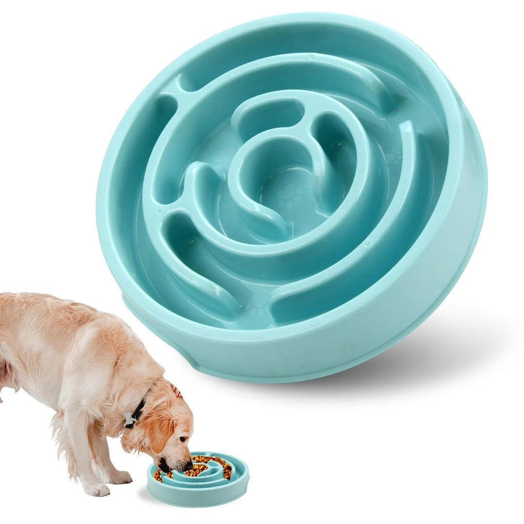 Slow Feed Pet Bowl Skanto