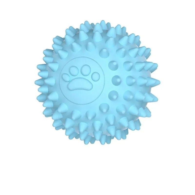 Bouncing Rubber Training Ball Skanto