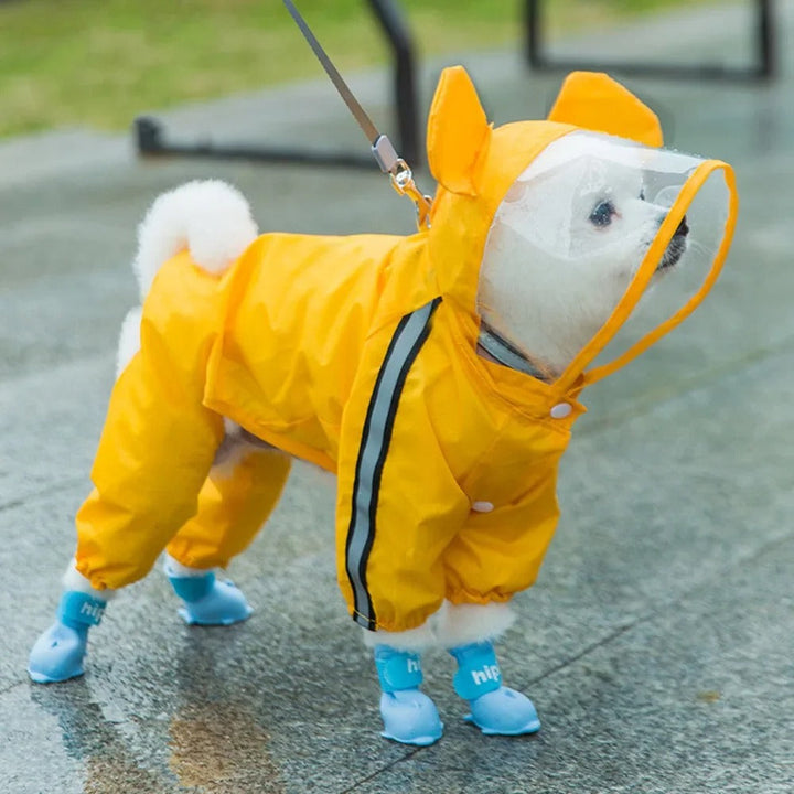 Skanto | Sjarmerende Bamse-tema Helkropp Hunderegntrekk med Reflekterende Sikkerhetsfunksjoner
