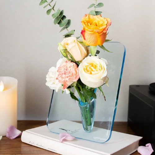 Skanto | BloomFrame