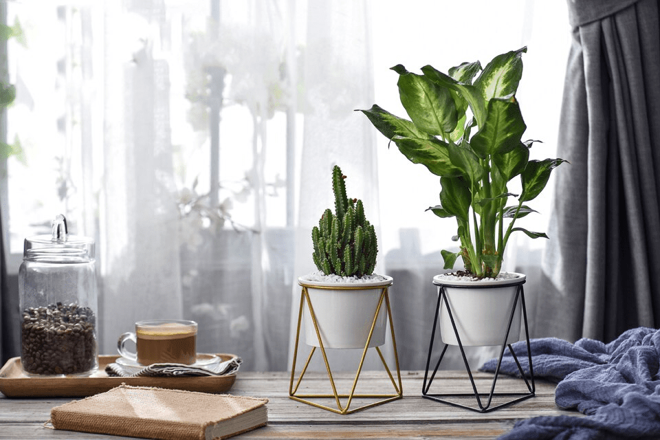 Skanto | LIVIA – Elegant blomsterpotte for stilfull dekorasjon