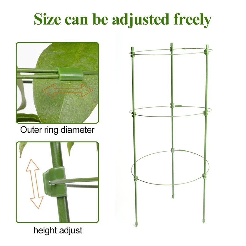 Skanto | Klatre ramme for planter – Solid støtte ring ramme for klatrende planter