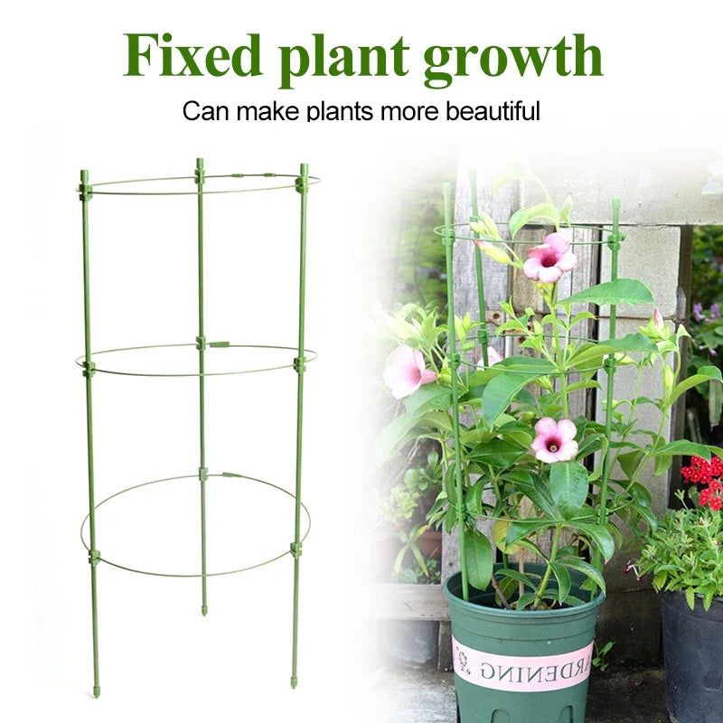 Skanto | Klatre ramme for planter – Solid støtte ring ramme for klatrende planter