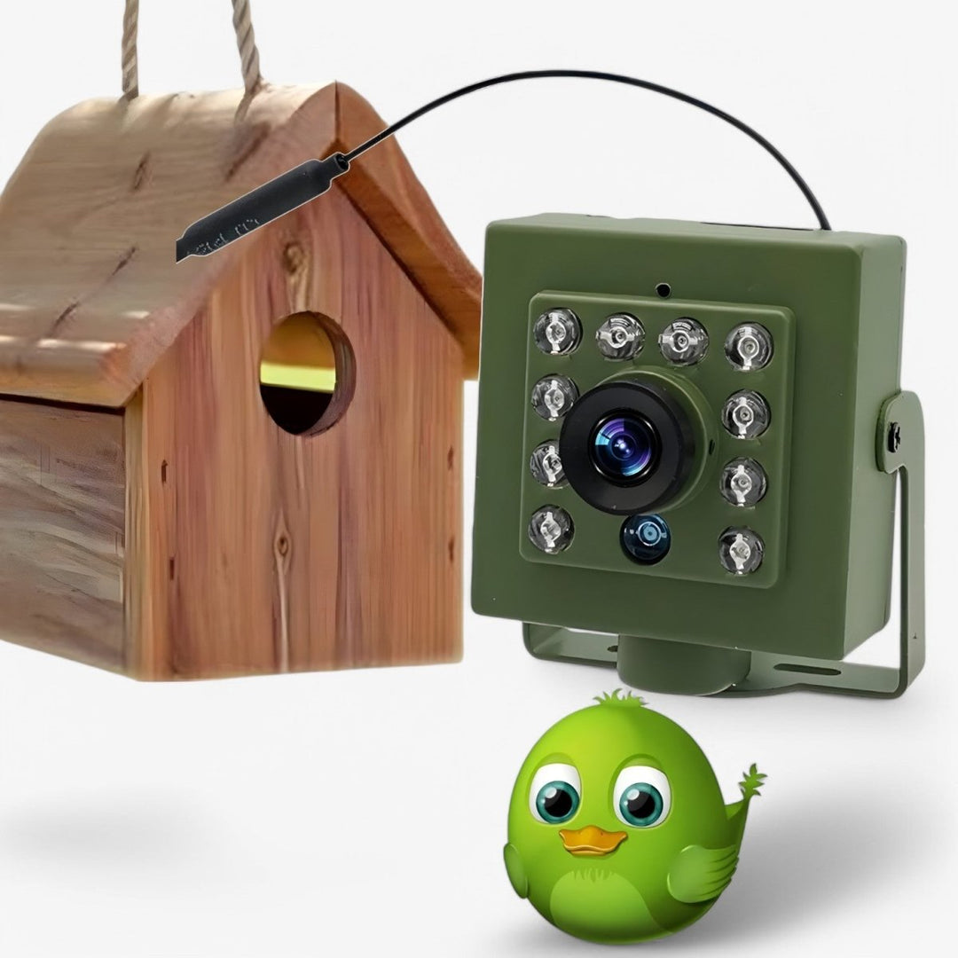 Skanto | Nestcam WLAN Fugl Reir Kamera – 1080p HD Vanntett Villmarks Kamera med Nattvision, Bevegelsesdeteksjon, og Fjernadgang