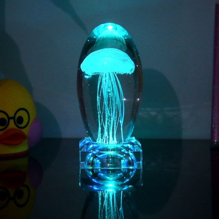 Fargeendrene Maneter Nattlampe | Skanto