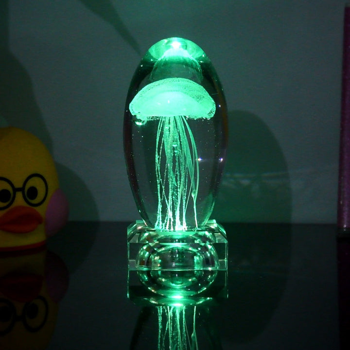 Fargeendrene Maneter Nattlampe | Skanto