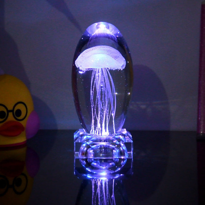 Fargeendrene Maneter Nattlampe | Skanto