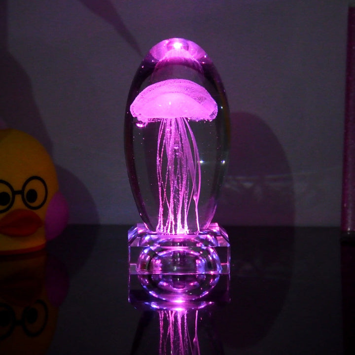 Fargeendrene Maneter Nattlampe | Skanto