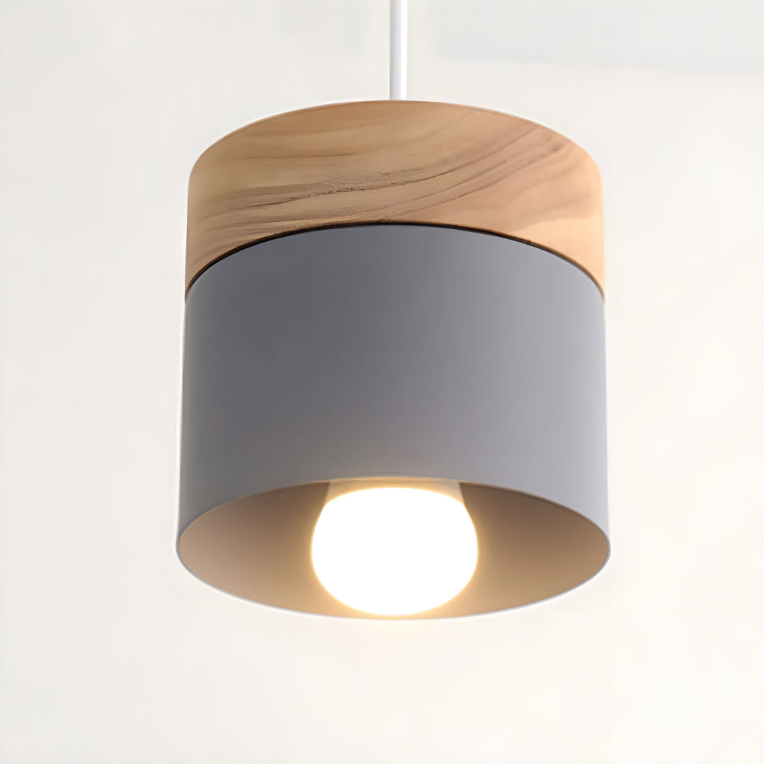 Loft Style Macaron Pendellampe | Skanto