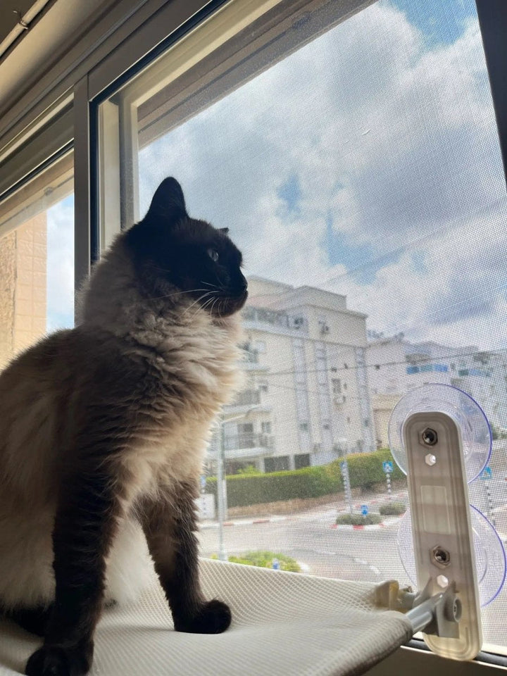 PAWPERCH – Faltbare Katzenhängematte mit wandfreundlicher Halterung | Fenstersitz ohne Bohren