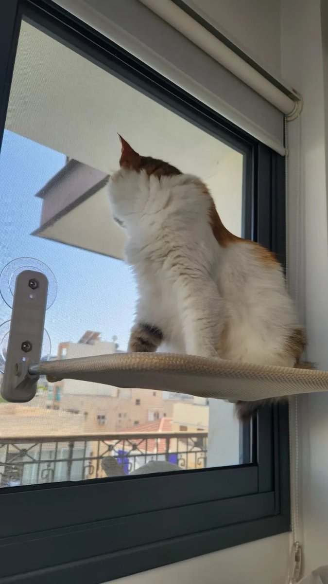 PAWPERCH – Faltbare Katzenhängematte mit wandfreundlicher Halterung | Fenstersitz ohne Bohren