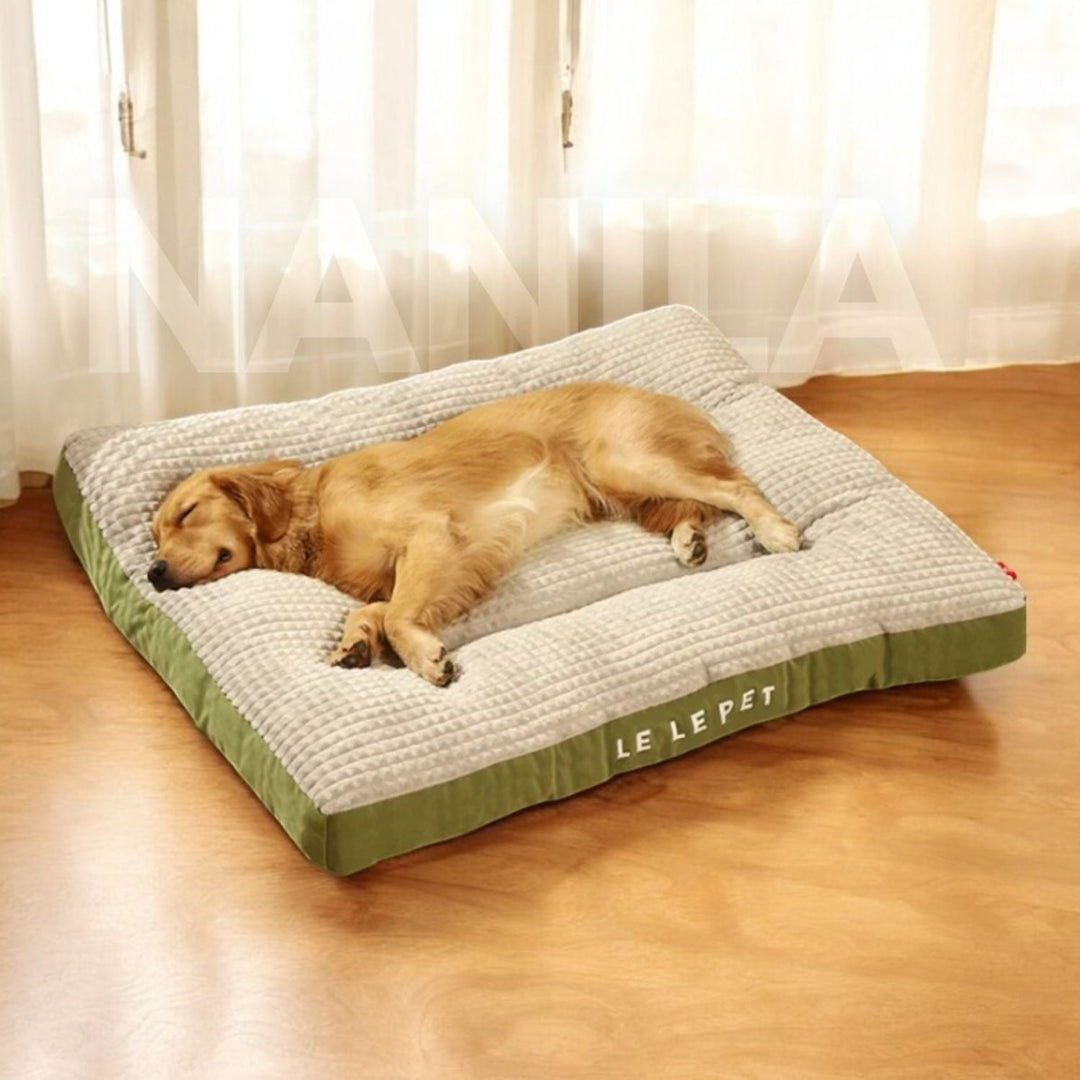 Skanto | PawRest – Ortopedisk hundeseng med optimal støtte og komfort