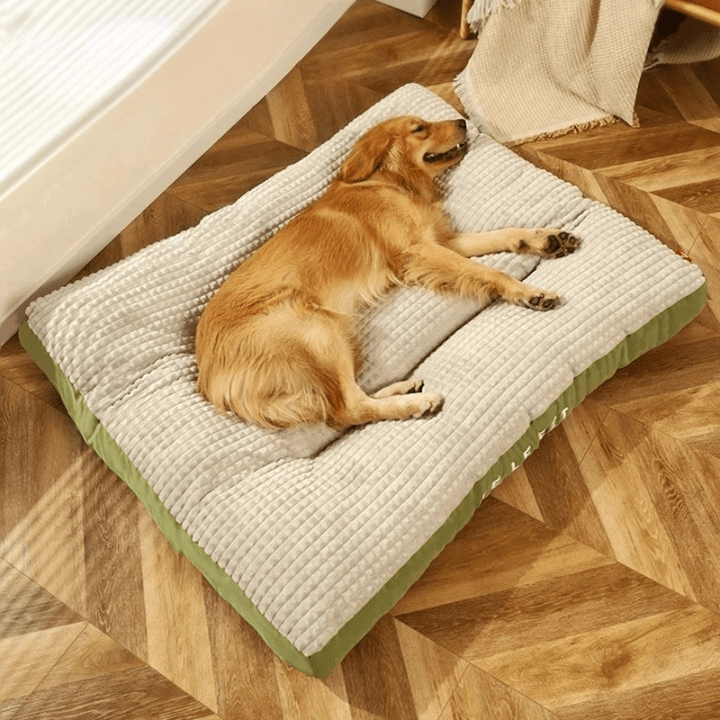 Skanto | PawRest – Ortopedisk hundeseng med optimal støtte og komfort