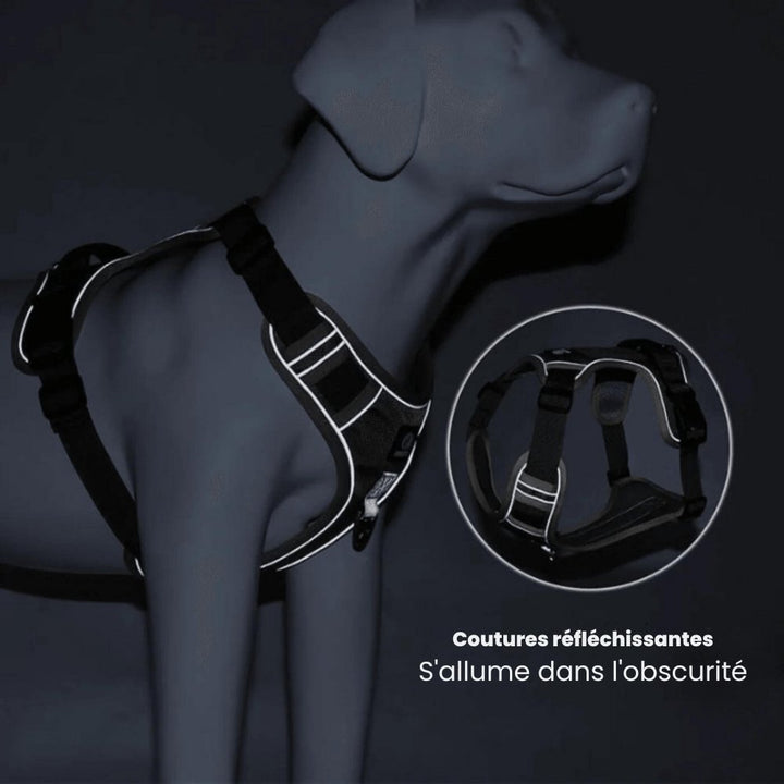 PawsControl – Den ultimate anti-drakkselen til hund