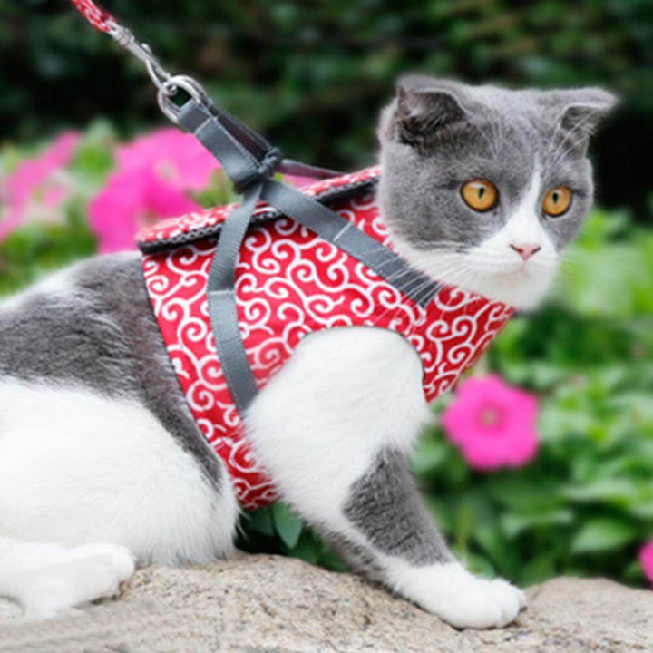 Skanto | PAWVENTURE HARNESS – Katt Sele Vest Sett med Pustende Nett & Bånd