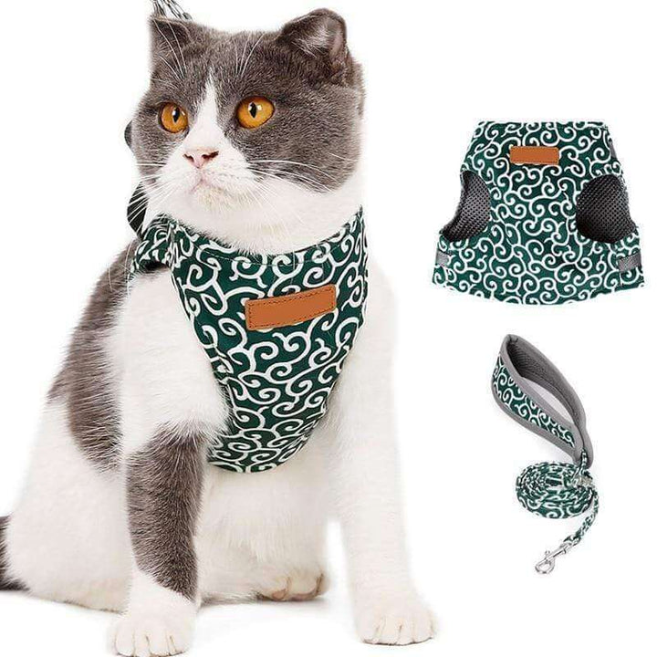 Skanto | PAWVENTURE HARNESS – Katt Sele Vest Sett med Pustende Nett & Bånd