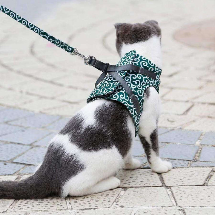 Skanto | PAWVENTURE HARNESS – Katt Sele Vest Sett med Pustende Nett & Bånd