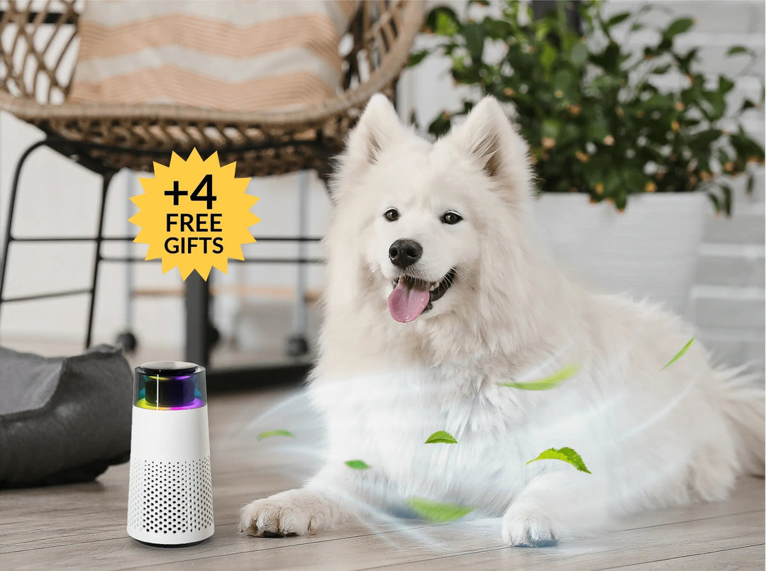 Skanto | Pet Lugt Luftfukter – PetFresh