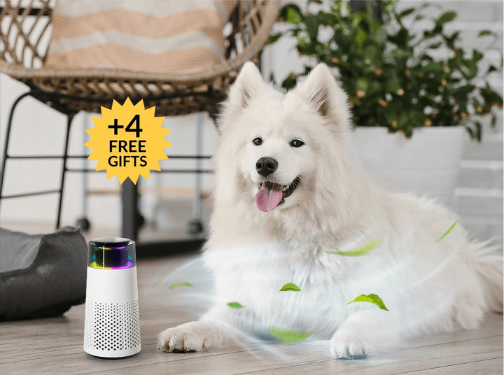 Skanto | Pet Lugt Luftfukter – PetFresh