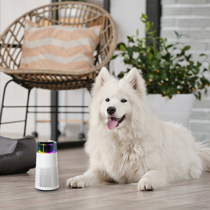 Skanto | Pet Lugt Luftfukter – PetFresh