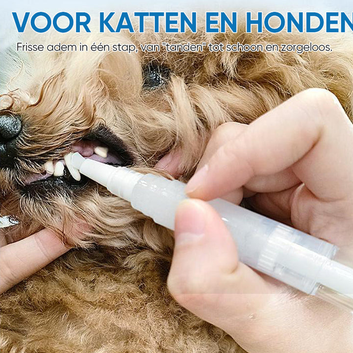 Pet Toothbrush Pen – PetSmile Skanto