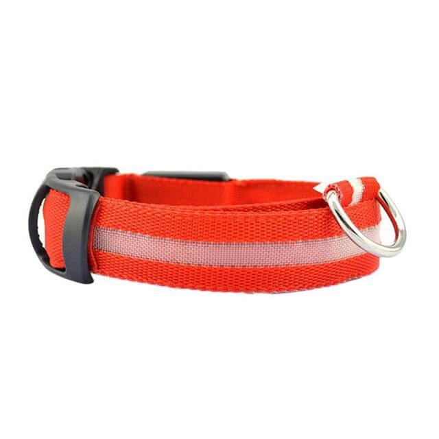 GlowPets LED-Halsband – Sicherheit og Sichtbarkeit für Haustiere