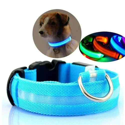 Skanto | GlowPets LED Halsbånd – Sikkerhet & Synlighet for Kjæledyr