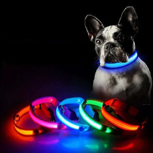 Skanto | GlowPets LED Halsbånd – Sikkerhet & Synlighet for Kjæledyr