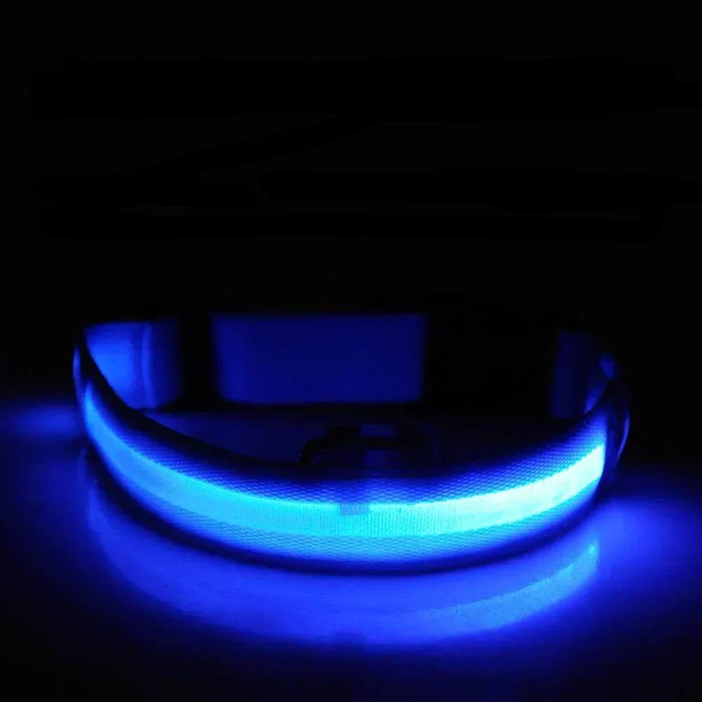 Skanto | GlowPets LED Halsbånd – Sikkerhet & Synlighet for Kjæledyr