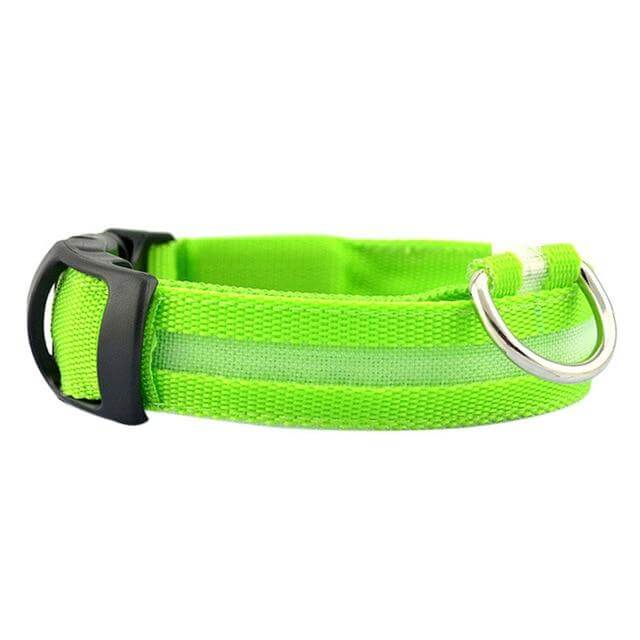 GlowPets LED-Halsband – Sicherheit og Sichtbarkeit für Haustiere