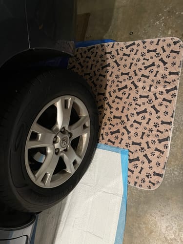 PetPaws Comfort Mat – Lekkasjefri Kjæledyrmatte Skanto