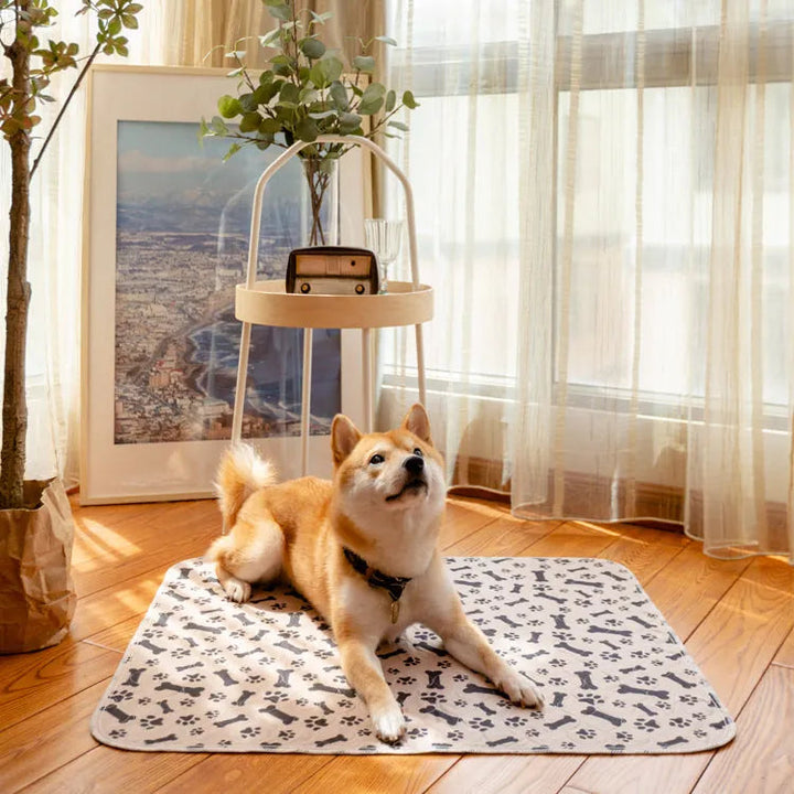 PetPaws Comfort Mat – Lekkasjefri Kjæledyrmatte Skanto