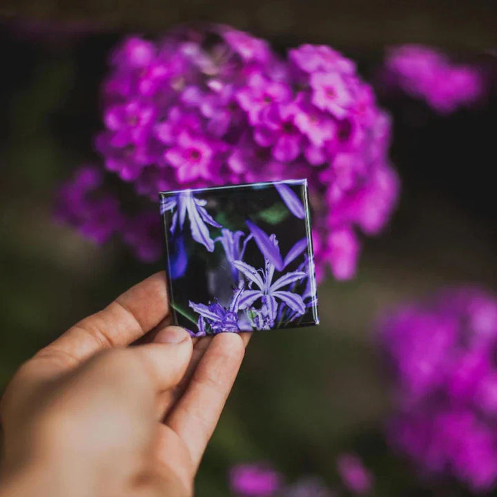 Egendefinerte fotomagneter for uforglemmelige øyeblikk | Skanto
