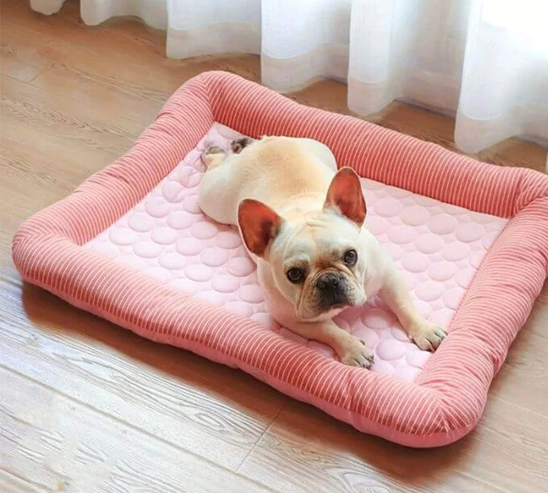 Kjølende Hundeseng med Is Silke Materiale | Skanto