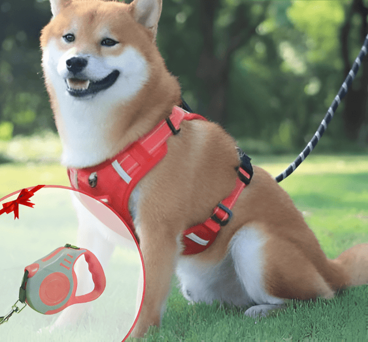 DogGrip Gå trygt med hunden din | Skanto