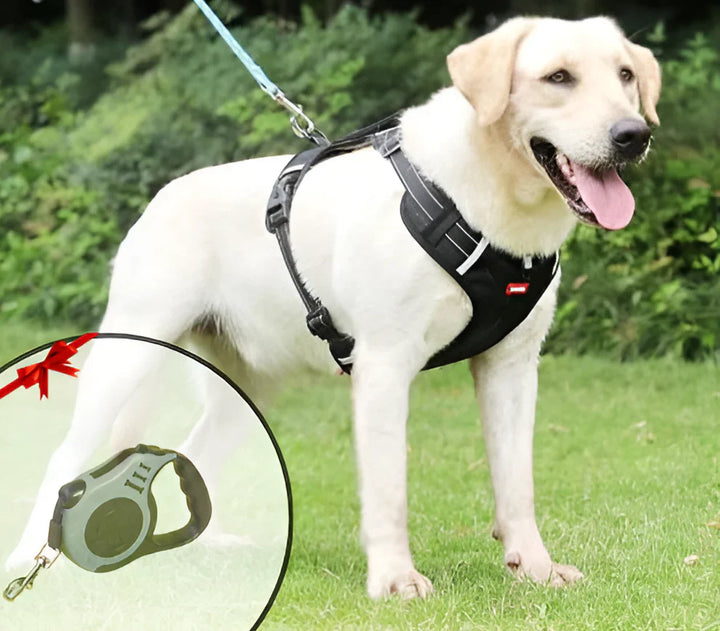 NoPull hundesele – WalkEase Skanto