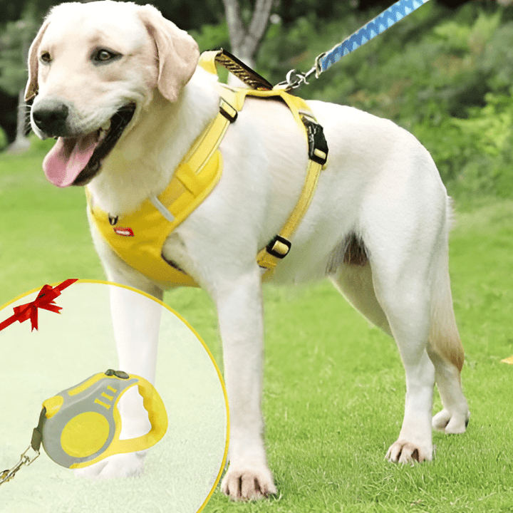 DogGrip Gå trygt med hunden din | Skanto