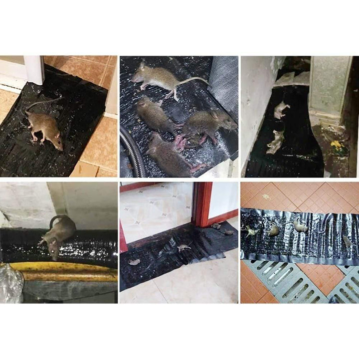 4 Stykker Anti-Rott Stor Stor Klistreplanke for Rodenter Mold Musfelle Rotte Musfelle Svart Usynlig Mus Limfelle - 4 Stykker