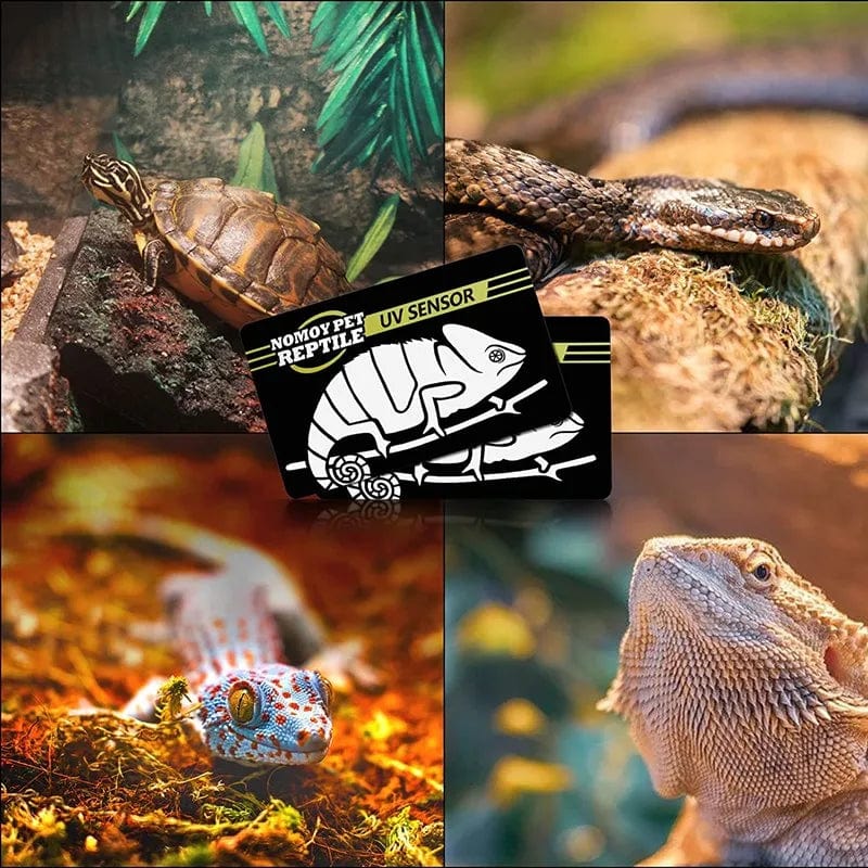2stk Fluorescerende Fargeforandringskort Reptilbelysning UVA UVB Tester Testkort for Rask Deteksjon av UVB Amfibielampe | Skanto