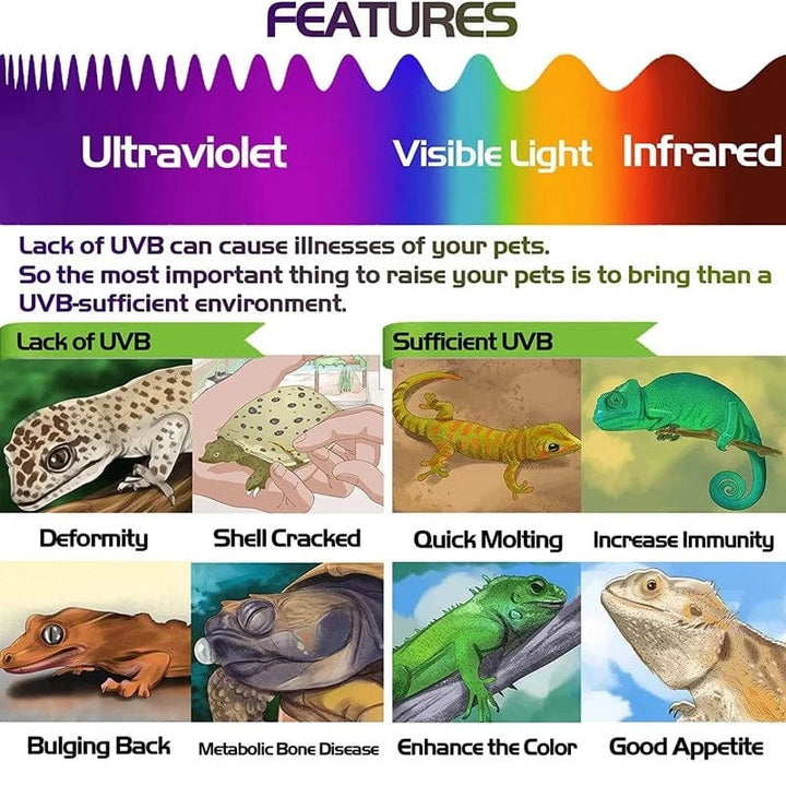 2stk Fluorescerende Fargeforandringskort Reptilbelysning UVA UVB Tester Testkort for Rask Deteksjon av UVB Amfibielampe | Skanto