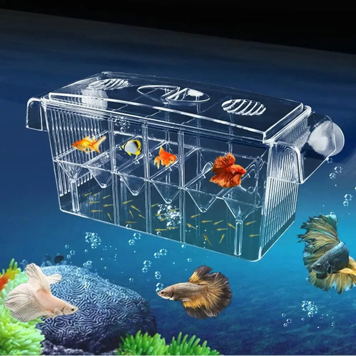 Akvarium Avlincubator Isolasjon Boks Dobbel Lag 4 Rom Transparent Akryl Selvflytende Fiskeg hatchery Boks Fisketank | Skanto