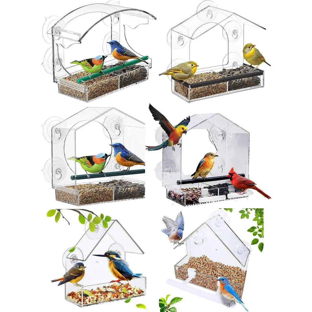 Akryl Klar Glassvindu Fugler Hengende Fôr Fuglehus Mat Fôrhuset Bord Frø Peanøtt Sugekopp | Skanto