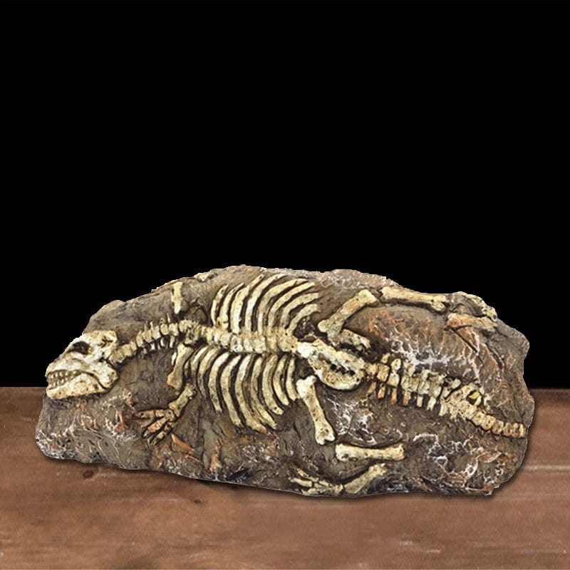 Dyr Hodeskalle Fiskebowle Fossil Dinosaur Smykker Akvarium Neshorn Bein Dekorasjon Fiskeskål Krokodille Manet Karpe Skilpadde | Skanto